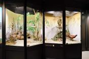 museum dhistoire naturelle blois 8-2025 2286
